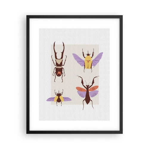 Poster in einem schwarzem Rahmen - Insektenwelt - 40x50 cm