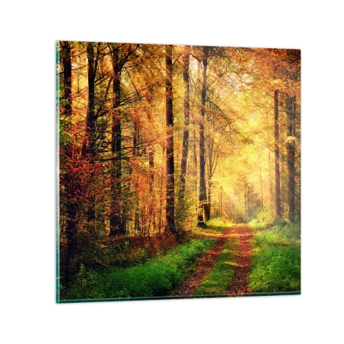 Glasbild - Bild auf glas - Waldgoldene Stille - 30x30 cm