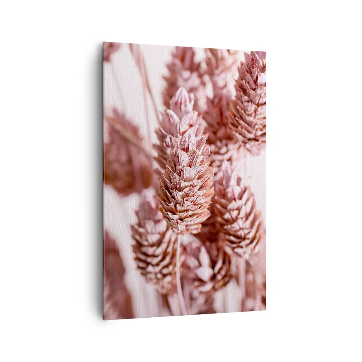 Bild auf Leinwand - Leinwandbild - Eine Nahaufnahme der zarten rosa Ähren von Ziergräsern - 80x120cm - Scheinbar unauffällig - Moderne Wanddekoration für Wohnzimmer und Schlafzimmer ARTTOR