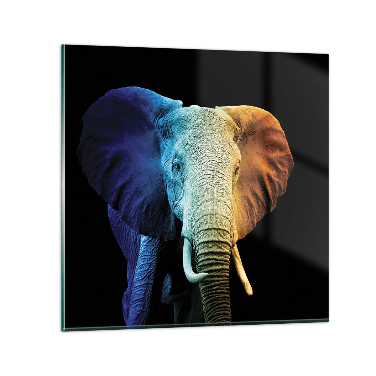 Glasbild - Bild auf glas - Exzentrisch, kein Verrückter - 50x50 cm