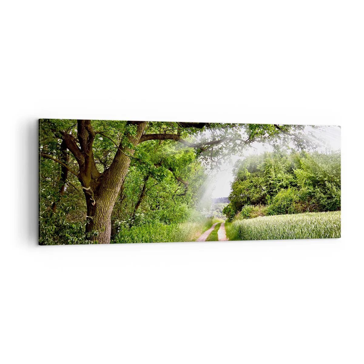 Bild auf Leinwand - Leinwandbild - Eine unbefestigte Straße zwischen grünen Bäumen und Sonnenlicht - 140x50cm - Et in Arcadia ego - Moderne Wanddekoration für Wohnzimmer und Schlafzimmer ARTTOR
