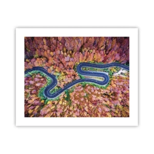 Poster - Kurvenreicher Weg durch den Wald - 50x40 cm