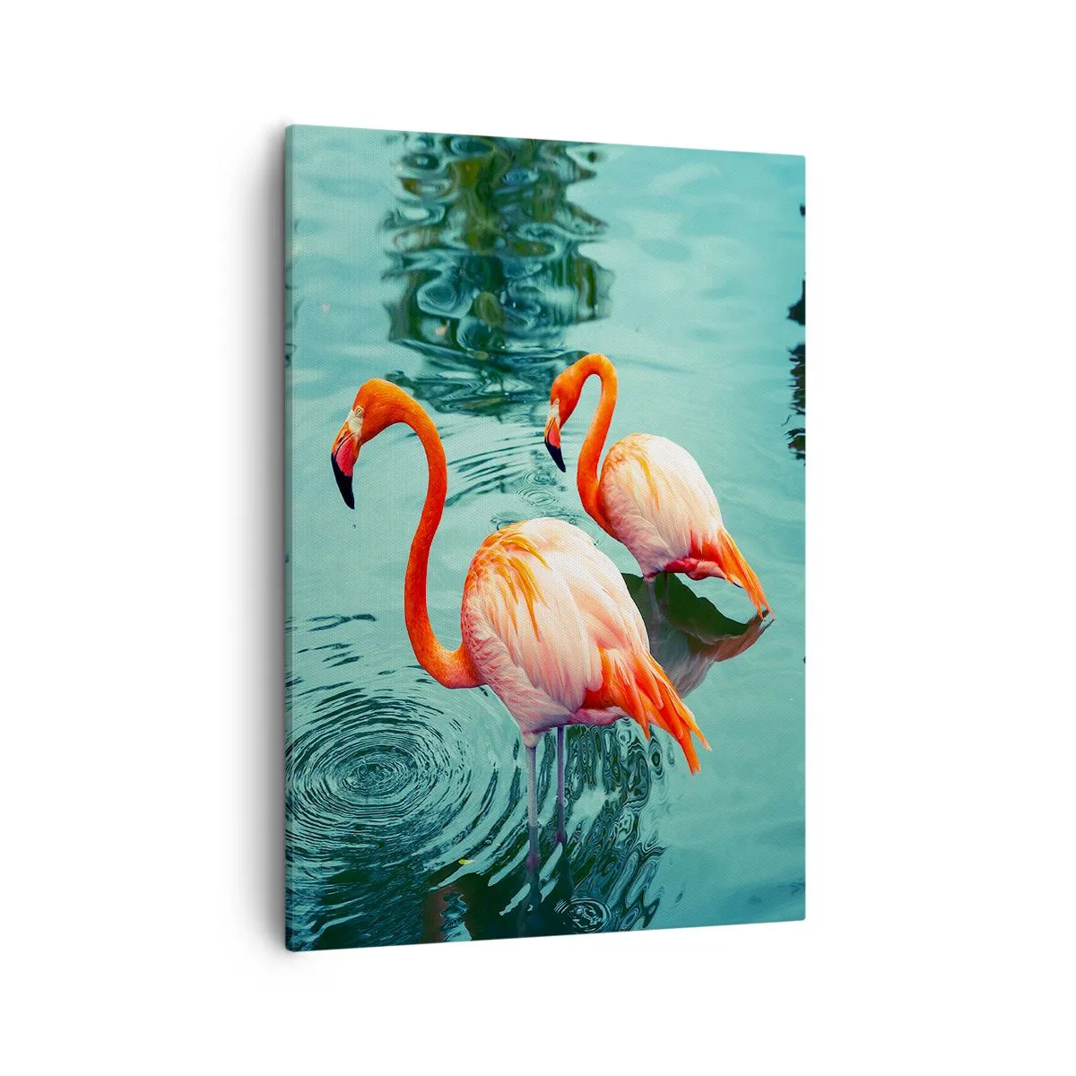 Bild auf Leinwand - Leinwandbild - Zwei Flamingos im ruhigen Wasser spiegeln ihre Umgebung wider - 50x70cm - Wir sind jetzt in Mode - Moderne Wanddekoration für Wohnzimmer und Schlafzimmer ARTTOR