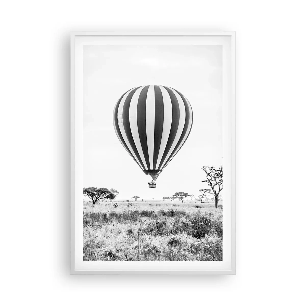 Poster in einem weißen Rahmen - Über der Savanne - 61x91 cm