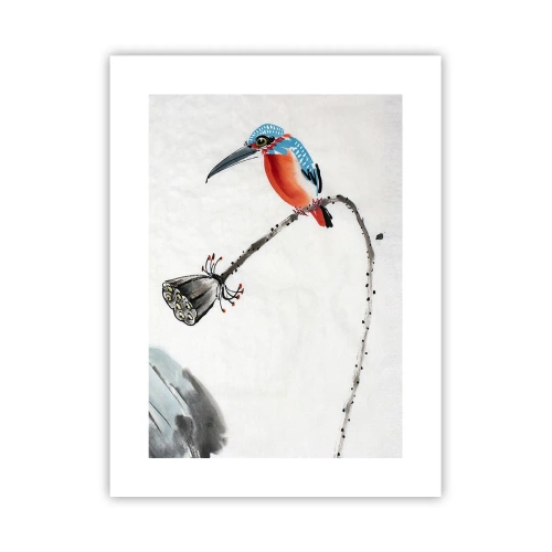 Poster - Das Leben der Wiese - 30x40 cm