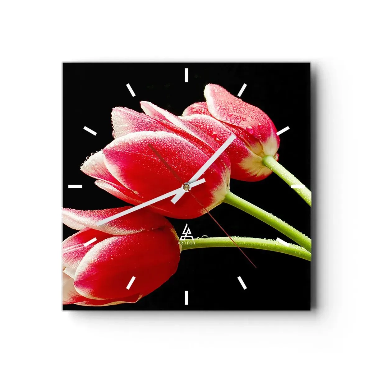Wanduhr - Glasuhr - Rote Tulpen mit Tautropfen auf schwarzem Hintergrund - 30x30cm - Ein Versprechen der reinen Liebe - Moderne Wanddekoration für Wohnzimmer und Schlafzimmer ARTTOR