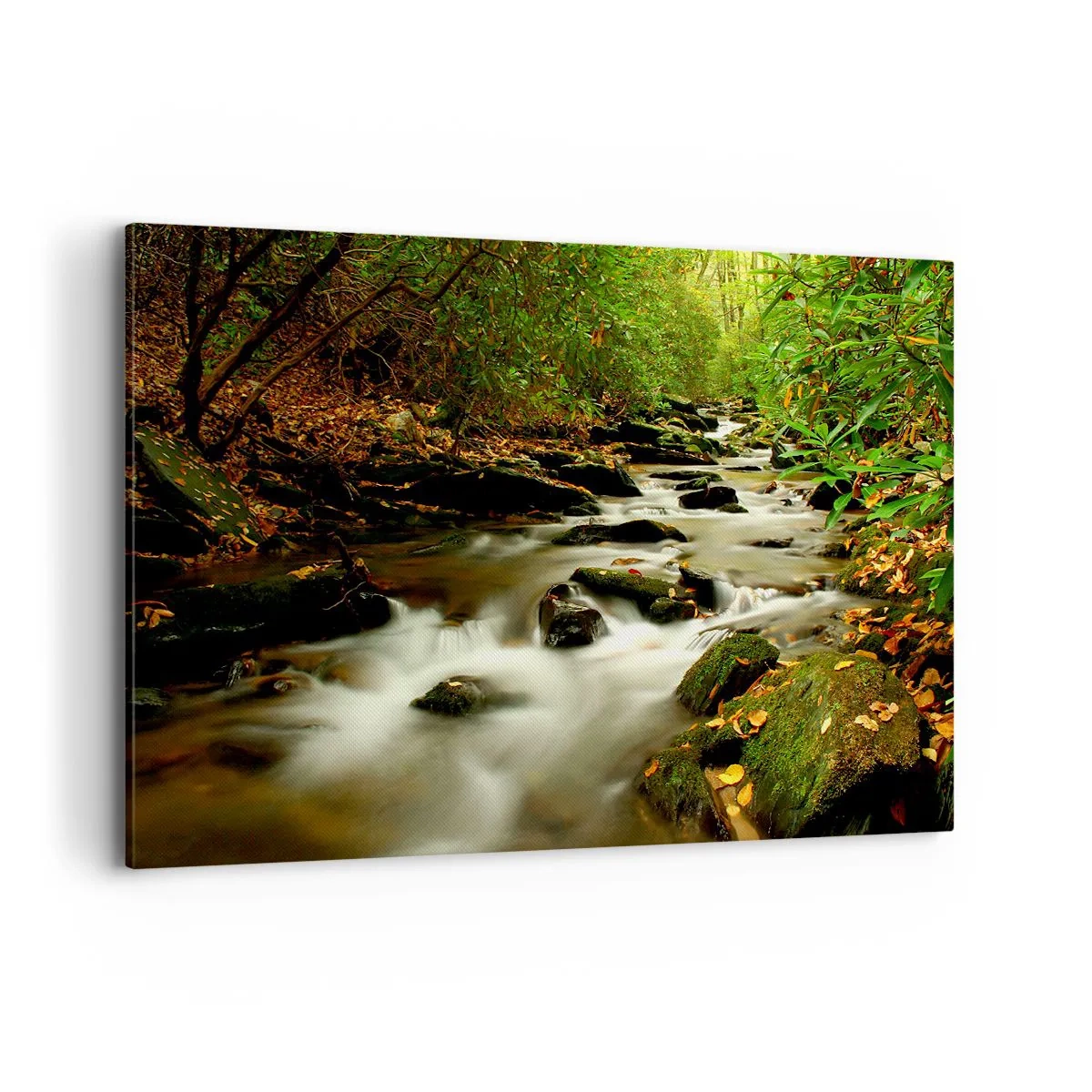 Bild auf Leinwand - Leinwandbild - Ein Waldbach, der zwischen Steinen fließt, umgeben von Grün - 120x80cm - Wie flüssiges Silber - Moderne Wanddekoration für Wohnzimmer und Schlafzimmer ARTTOR