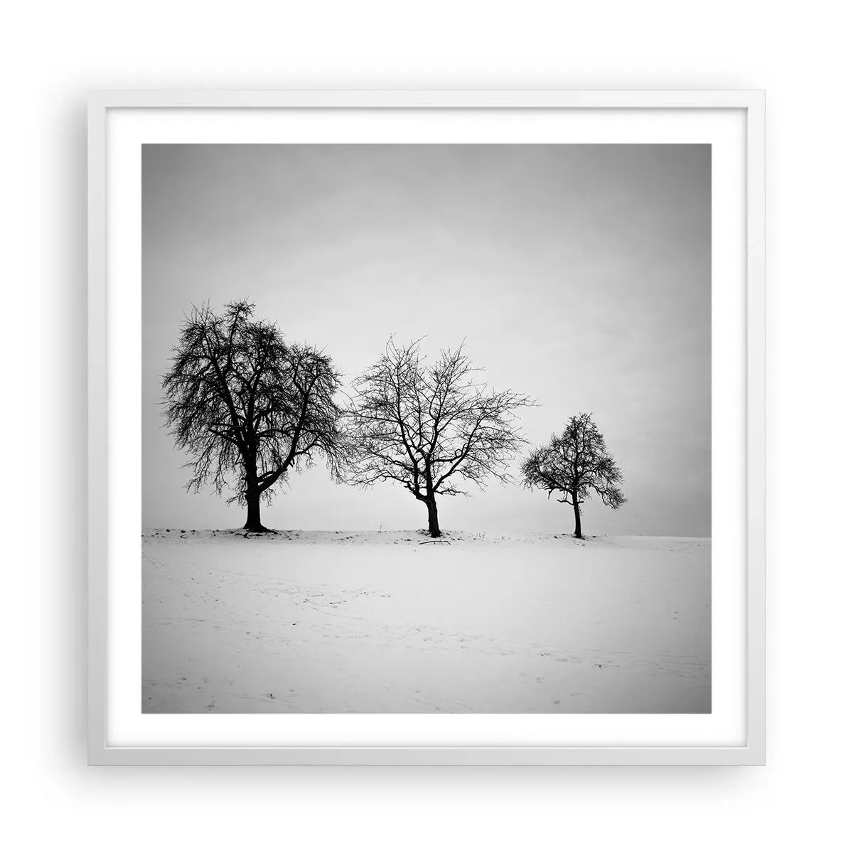 Poster in einem weißen Rahmen - Wovon träumen sie? - 60x60 cm