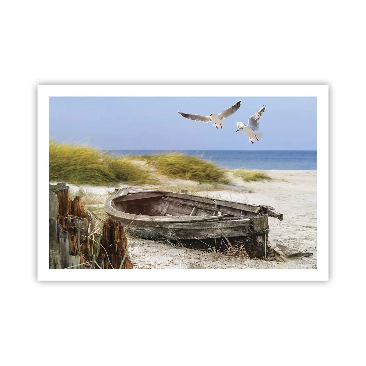 Poster - In Wind gebadet - 91x61 cm
