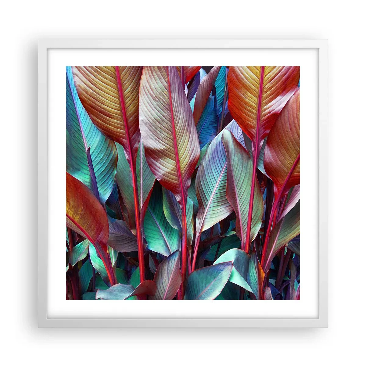 Poster in einem weißen Rahmen - Buntes Dickicht - 50x50 cm