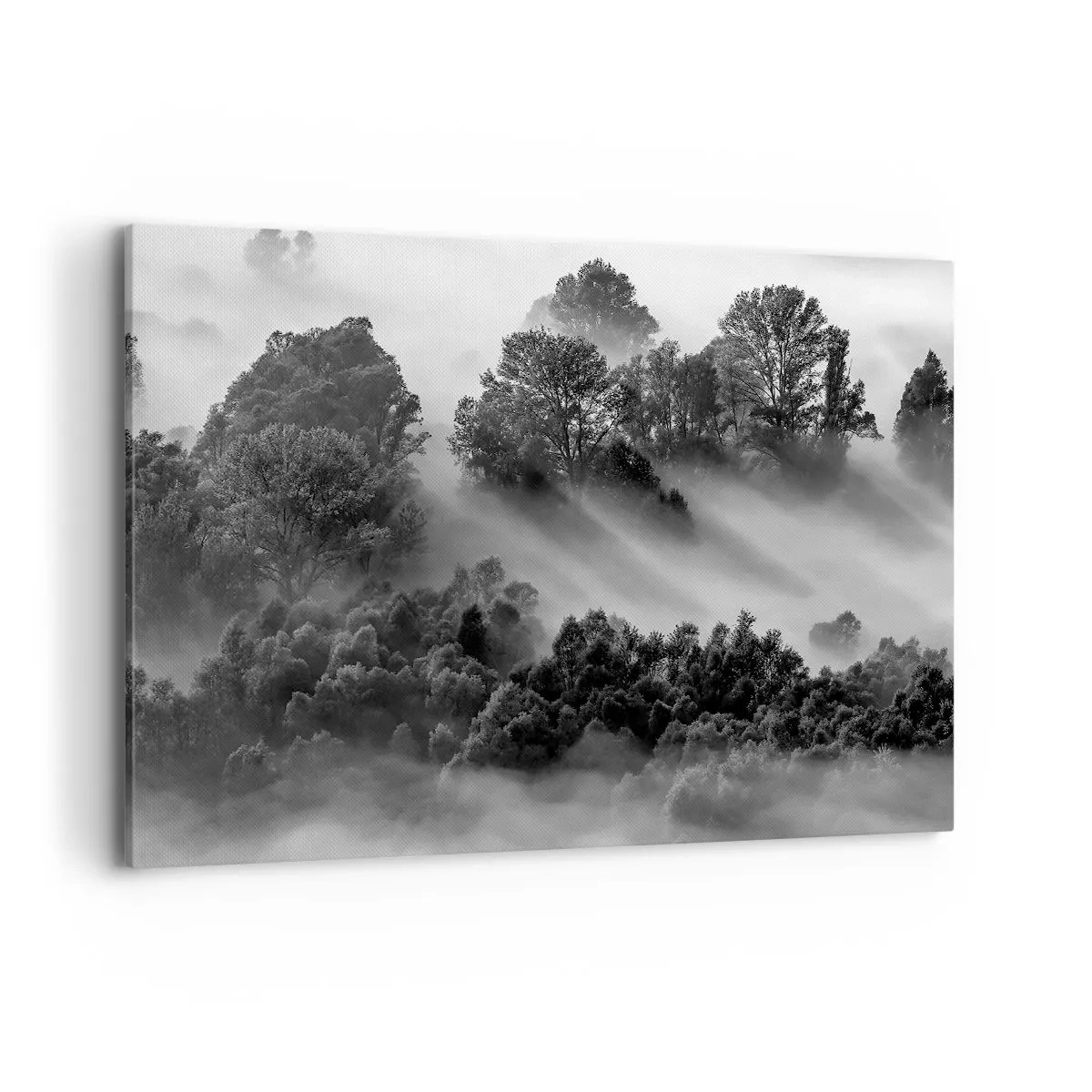 Bild auf Leinwand - Leinwandbild - Schwarz-weiße Waldlandschaft im Morgennebel - 120x80cm - Aufstehend aus dem Schlaf - Moderne Wanddekoration für Wohnzimmer und Schlafzimmer ARTTOR