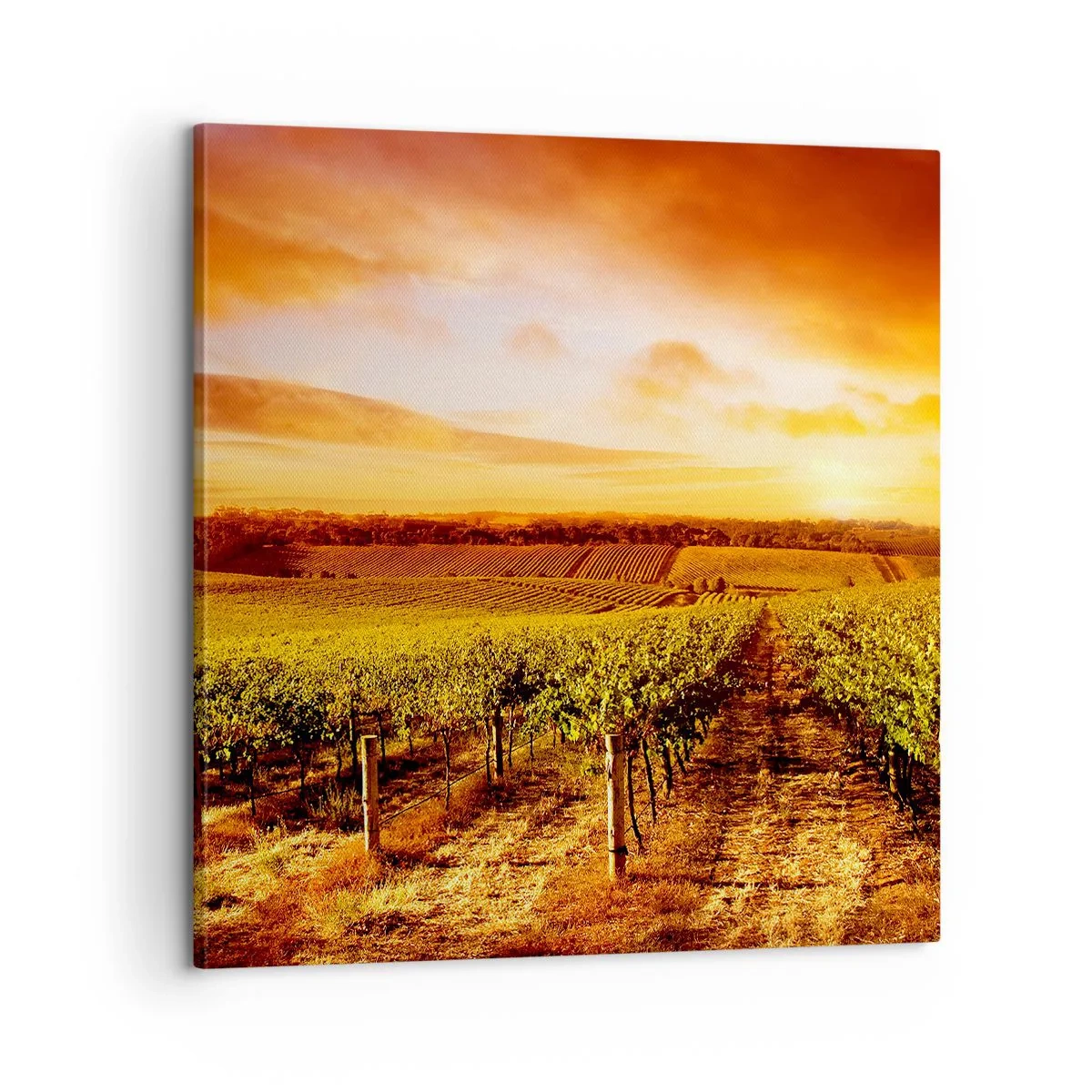 Bild auf Leinwand - Leinwandbild - Leicht fruchtig mit einem Hauch Sonnenschein - 60x60 cm