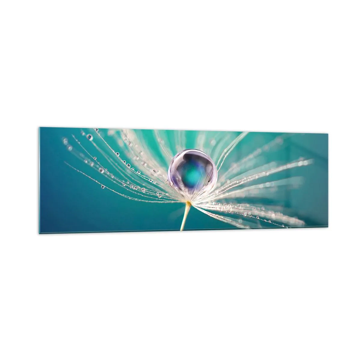 Glasbild - Bild auf glas - Makroaufnahme eines Wassertropfens auf einem zarten Löwenzahnsamen - 160x50cm - Mystischer Moment - Moderne Wanddekoration für Wohnzimmer und Schlafzimmer ARTTOR