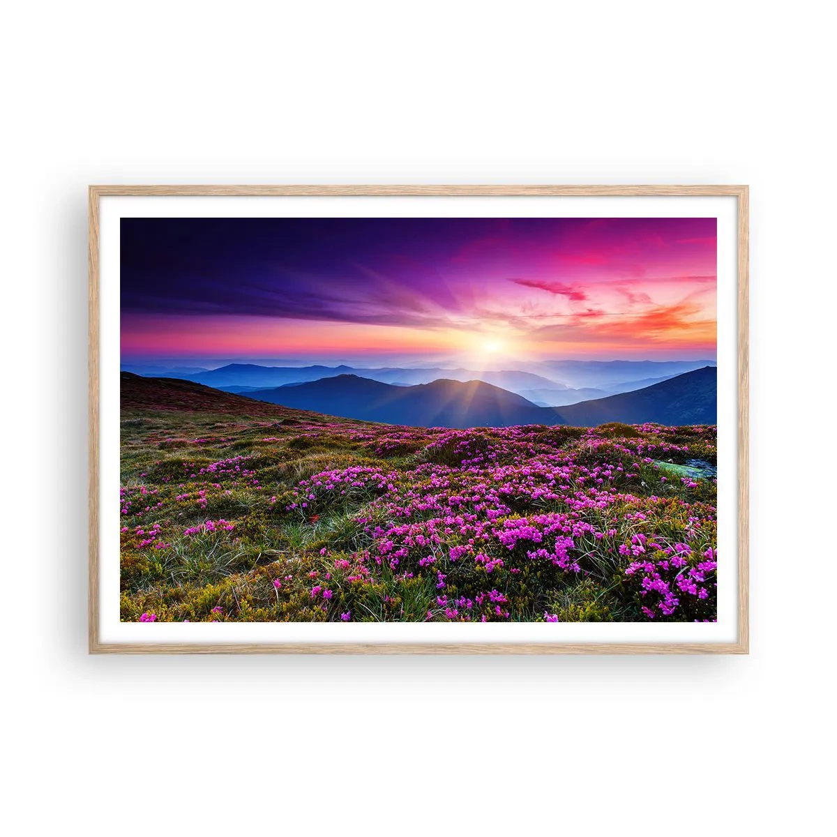 Poster in einem Rahmen aus heller Eiche - Kräuter dufteten nach frischen Trauben von den Feldern - 100x70 cm