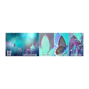 Fototapeten Muster Selbstklebend Deluxe Sticker - Das geheime Leben der Wiese - Schmetterling, Wiese, Stück - 100x30 cm