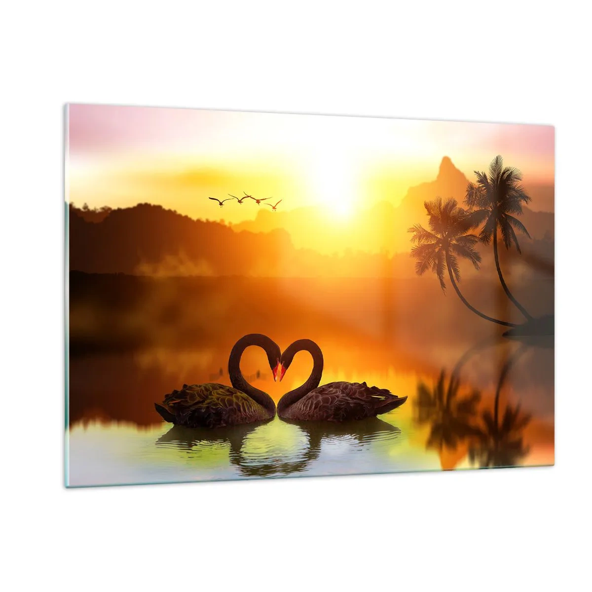 Glasbild - Bild auf glas - Schwarze Schwäne auf dem See bei Sonnenuntergang - 120x80cm - Alles passt zusammen - Moderne Wanddekoration für Wohnzimmer und Schlafzimmer ARTTOR