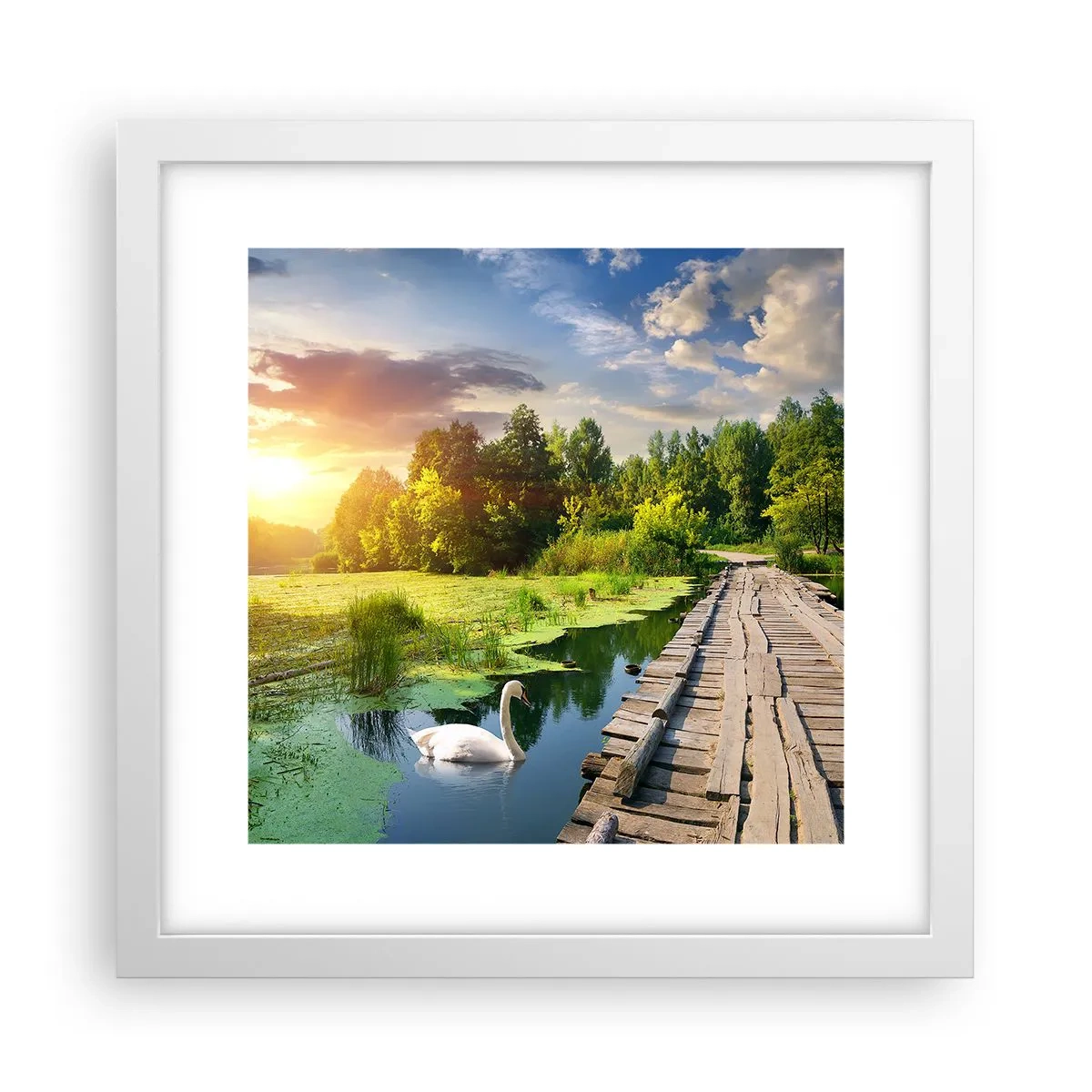 Poster in einem weißen Rahmen - Sommer, Sommer überall - 30x30 cm