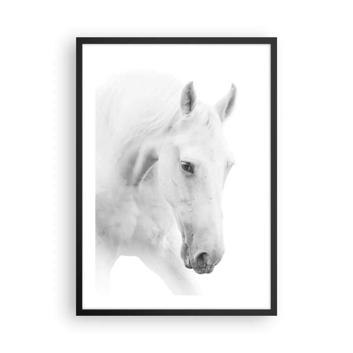 Poster in einem schwarzem Rahmen - Porträt eines weißen Pferdes im minimalistischen Stil - 50x70cm - Ist das Freundschaft...? - Moderne Wanddekoration für Wohnzimmer und Schlafzimmer ARTTOR
