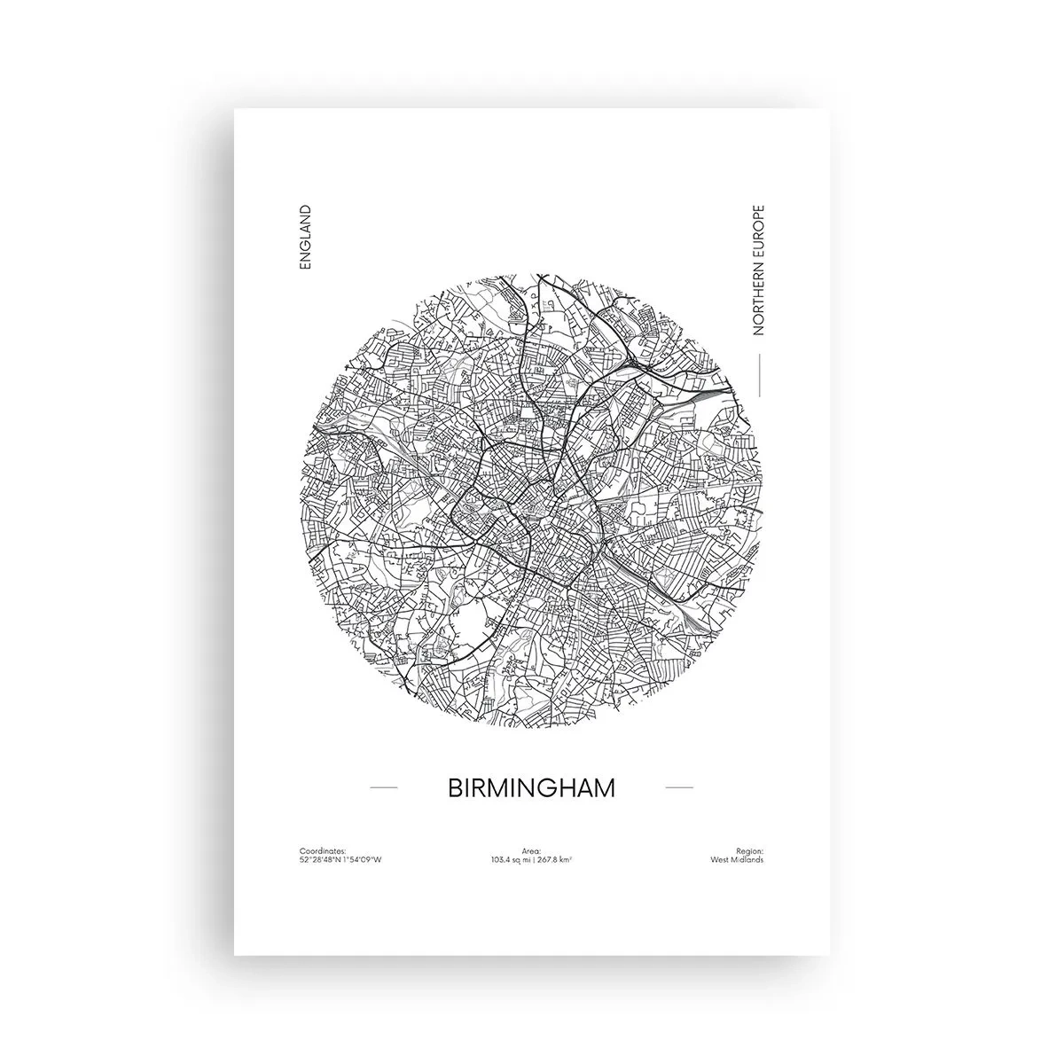 Poster - Anatomie von Birmingham - 70x100 cm