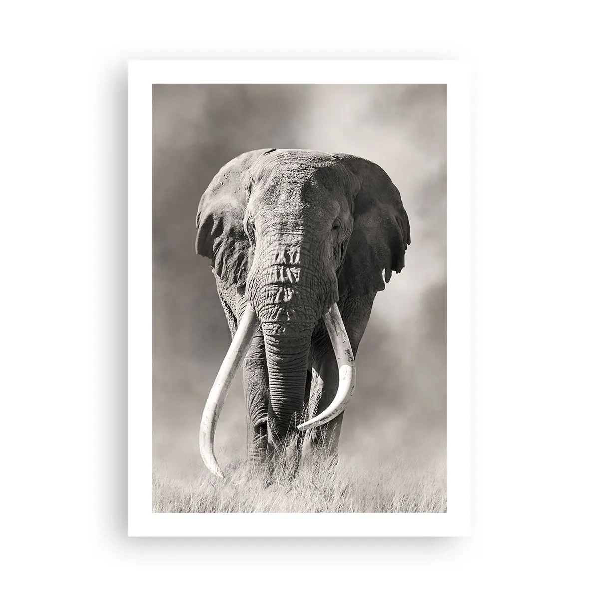 Poster - Monochromes Porträt eines majestätischen Elefanten - 50x70cm - Afrikanischer Patriarch - Moderne Wanddekoration für Wohnzimmer und Schlafzimmer ARTTOR