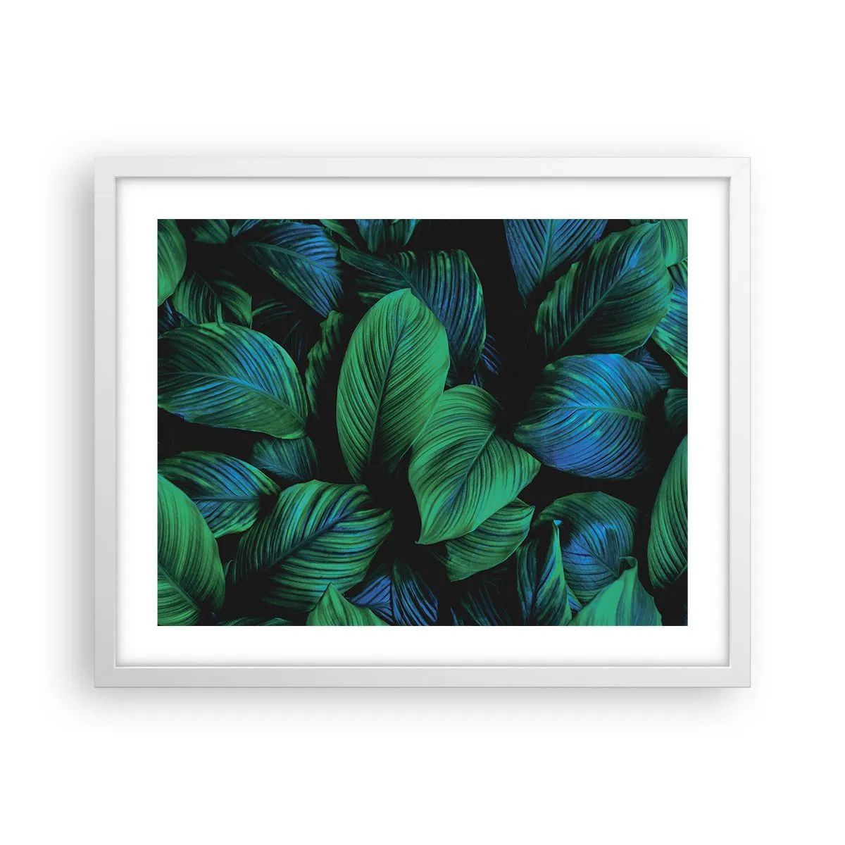 Poster in einem weißen Rahmen - In der grünen Menge - 50x40 cm