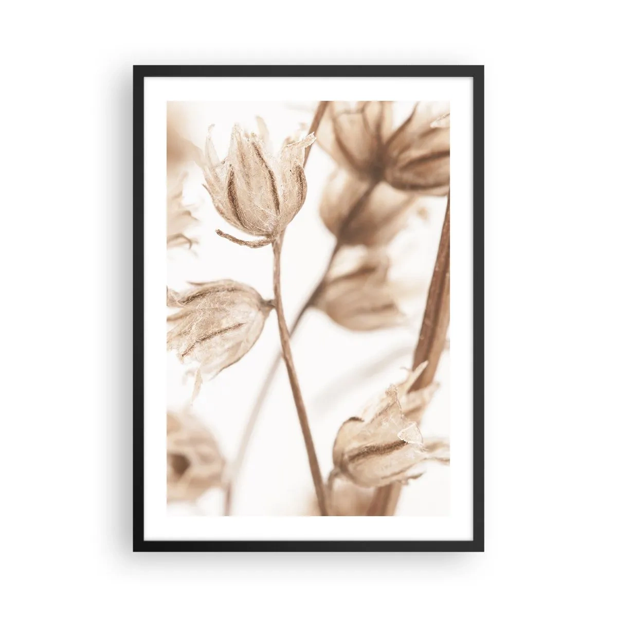 Poster in einem schwarzem Rahmen - Getrocknete Pflanzen in Sepia auf hellem Hintergrund - 50x70cm - Sie rufen am Ende des Sommers an - Moderne Wanddekoration für Wohnzimmer und Schlafzimmer ARTTOR