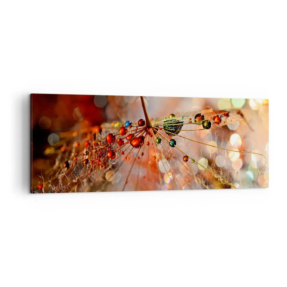 Bild auf Leinwand - Leinwandbild - Makrofotografie eines Wassertropfens auf einer zarten Pflanze - 140x50cm - Auf einem Spinnenfaden aufgefädelt - Moderne Wanddekoration für Wohnzimmer und Schlafzimmer ARTTOR