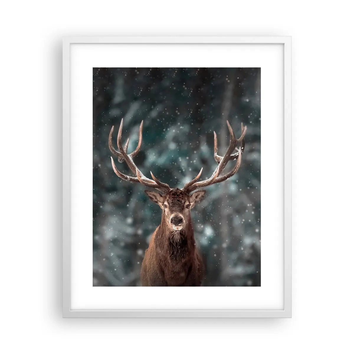 Poster in einem weißen Rahmen - Gekrönter König des Waldes - 40x50 cm