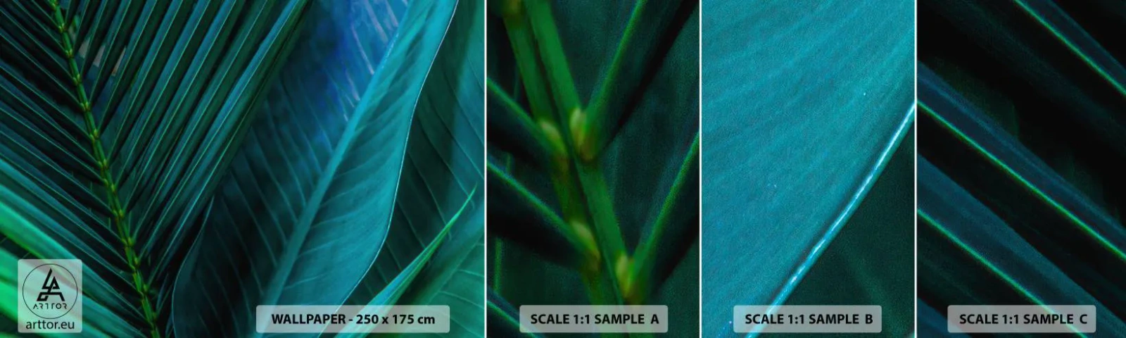Fototapetenmuster Standard Eco - Die Anatomie des Grüns - Grüne Blätter, Tropische Pflanze, Natur - 100x30 cm
