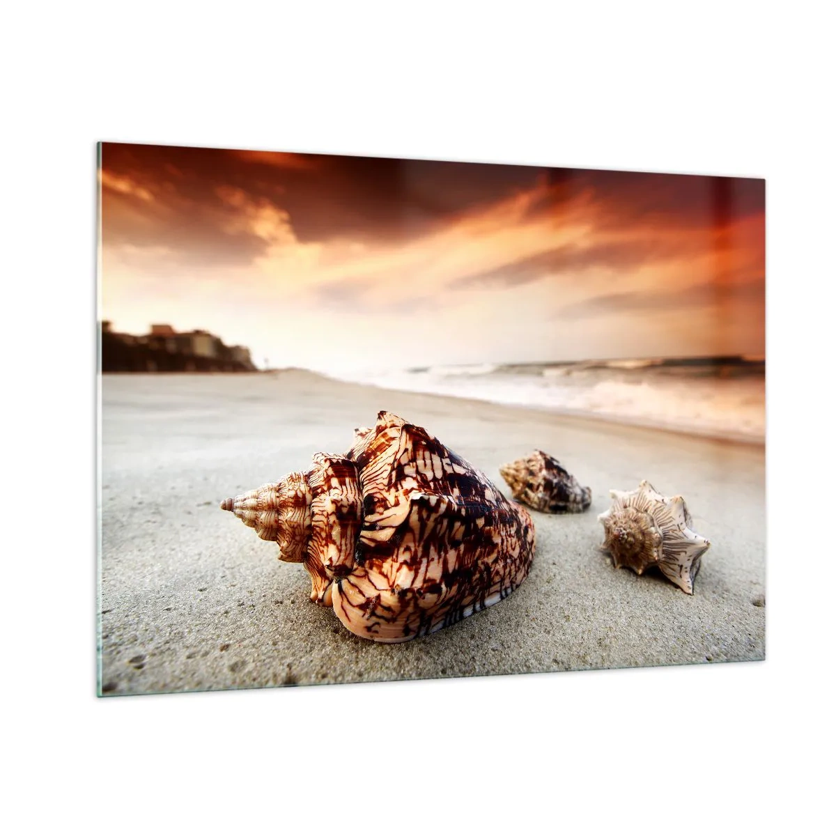 Glasbild - Bild auf glas - Muscheln am Strand bei Sonnenuntergang - 100x70cm - Ausgestoßene von Wellen - Moderne Wanddekoration für Wohnzimmer und Schlafzimmer ARTTOR