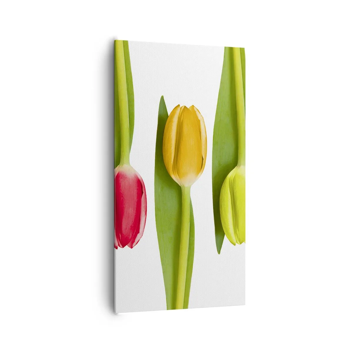 Bild auf Leinwand - Leinwandbild - Regenbogenkomposition - 65x120 cm