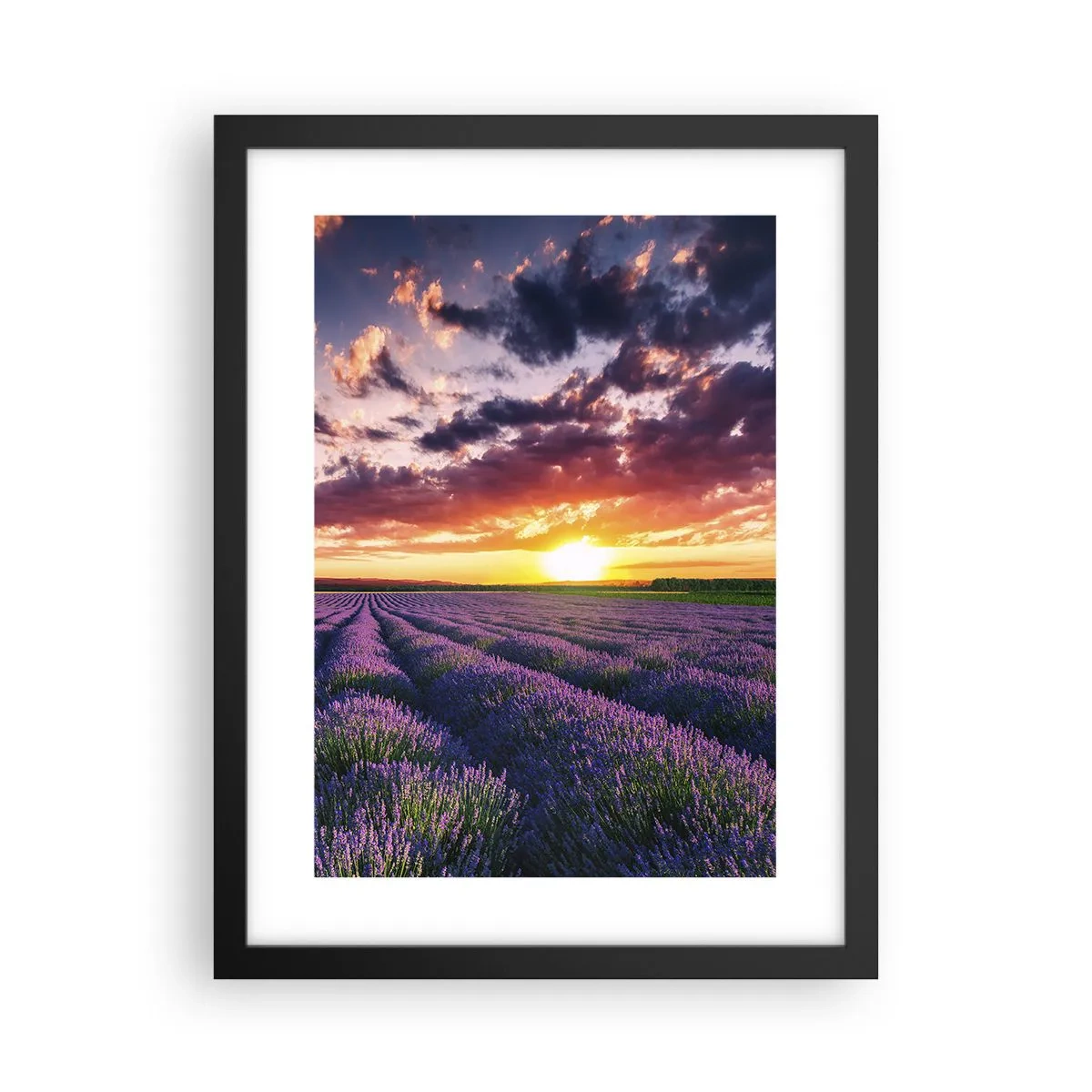 Poster in einem schwarzem Rahmen - Lavendel Welt - 30x40 cm