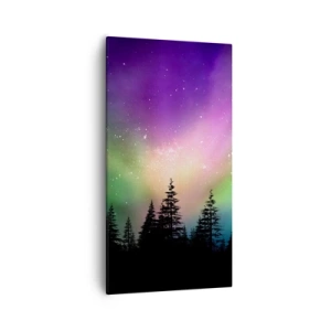 Bild auf Leinwand - Leinwandbild - weiße Magie - 55x100 cm