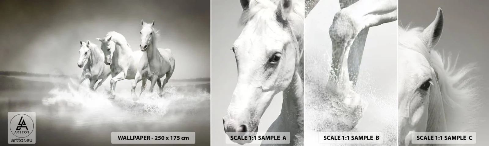 Fototapetenmuster Standard Eco - Weißer Wahnsinn - Tiere, Pferde, Natur - 100x30 cm