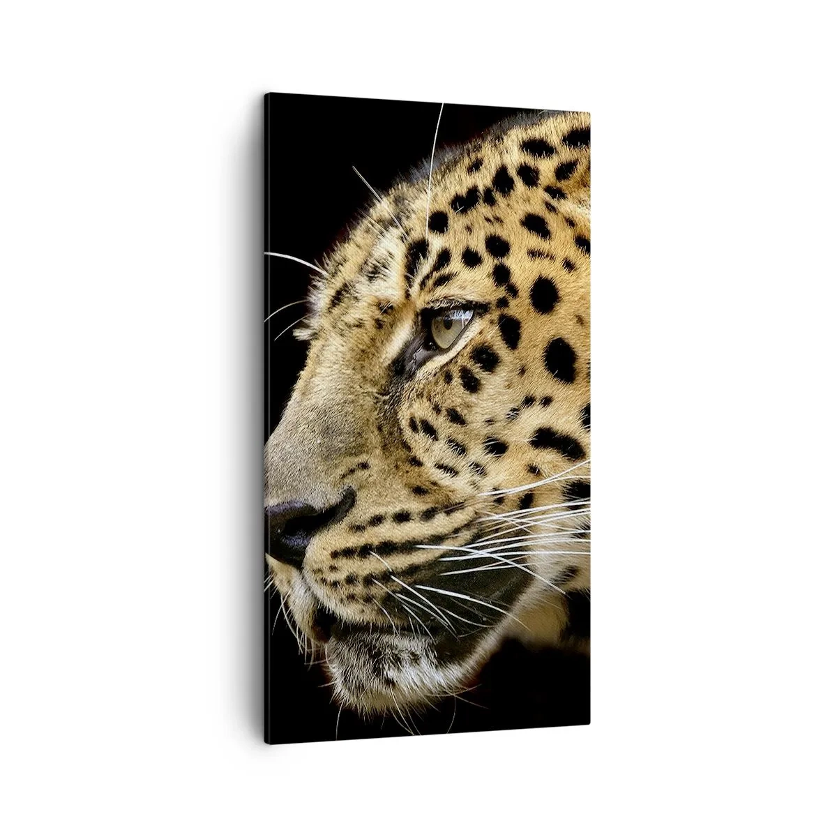 Bild auf Leinwand - Leinwandbild - Ruhig, fokussiert, bereit - 45x80 cm