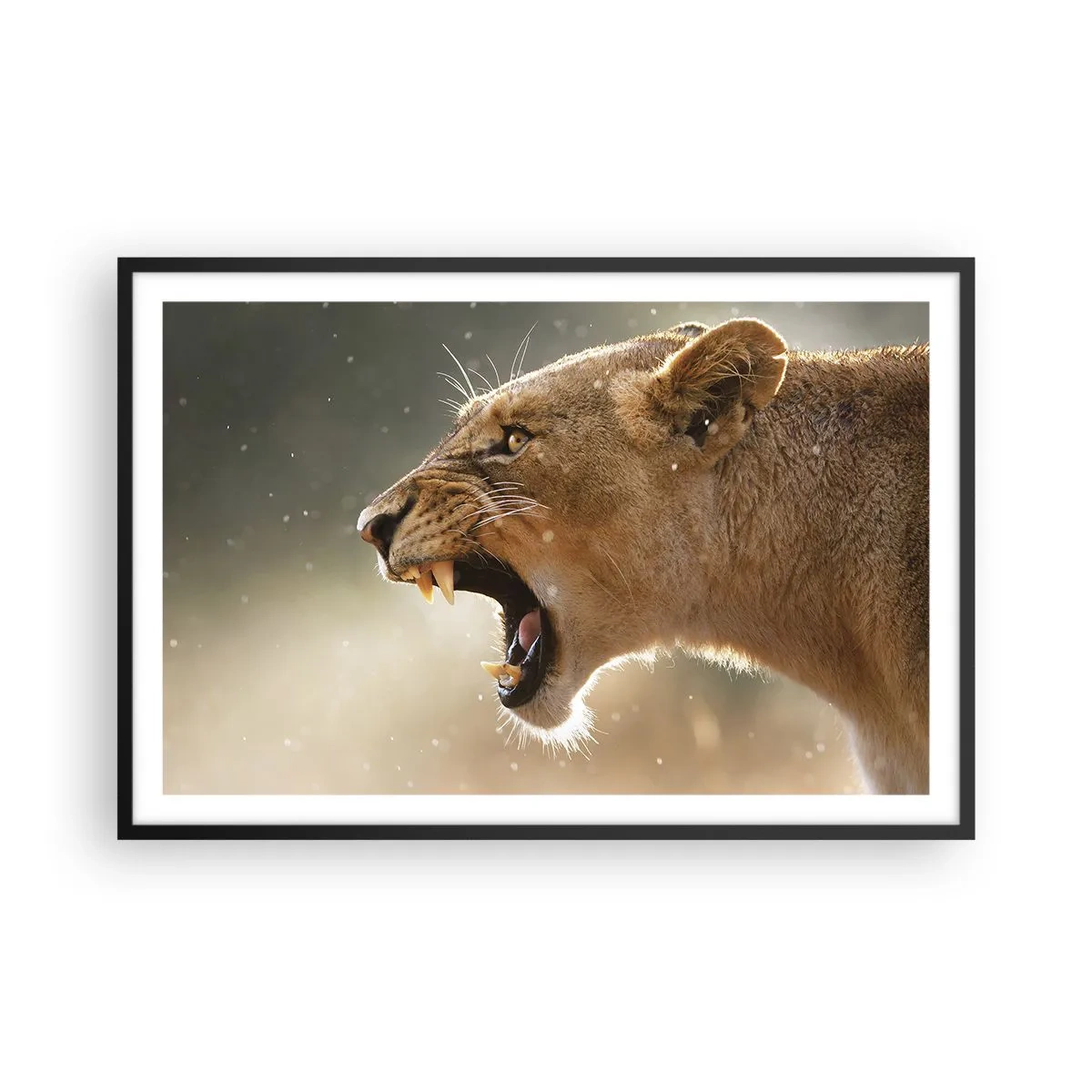 Poster in einem schwarzem Rahmen - Versuch, nicht zuzuhören - 91x61 cm