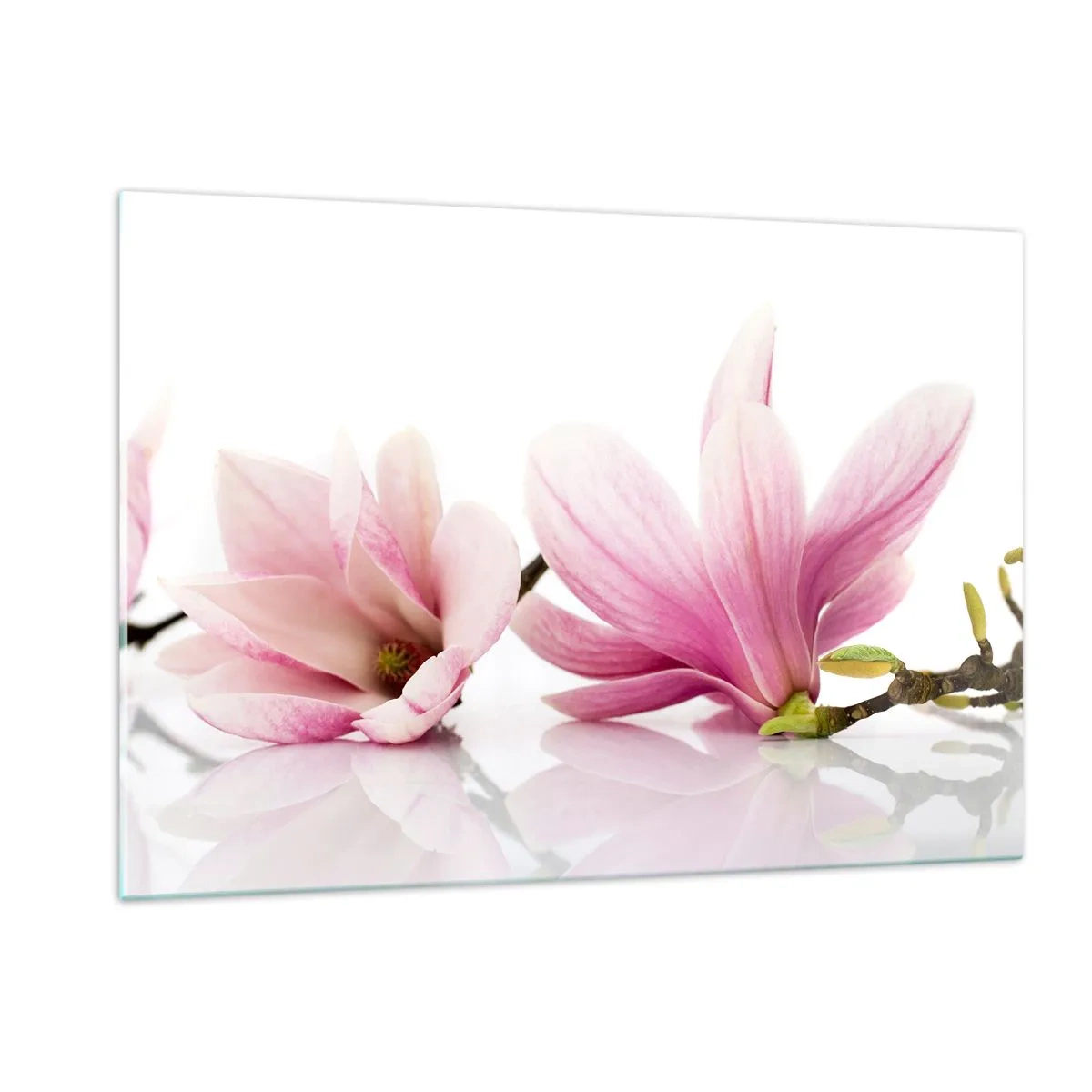 Glasbild - Bild auf glas - Zarte Magnolienblüten auf weißem Hintergrund - 120x80cm - Zart wie ein Frühlingswind - Moderne Wanddekoration für Wohnzimmer und Schlafzimmer ARTTOR