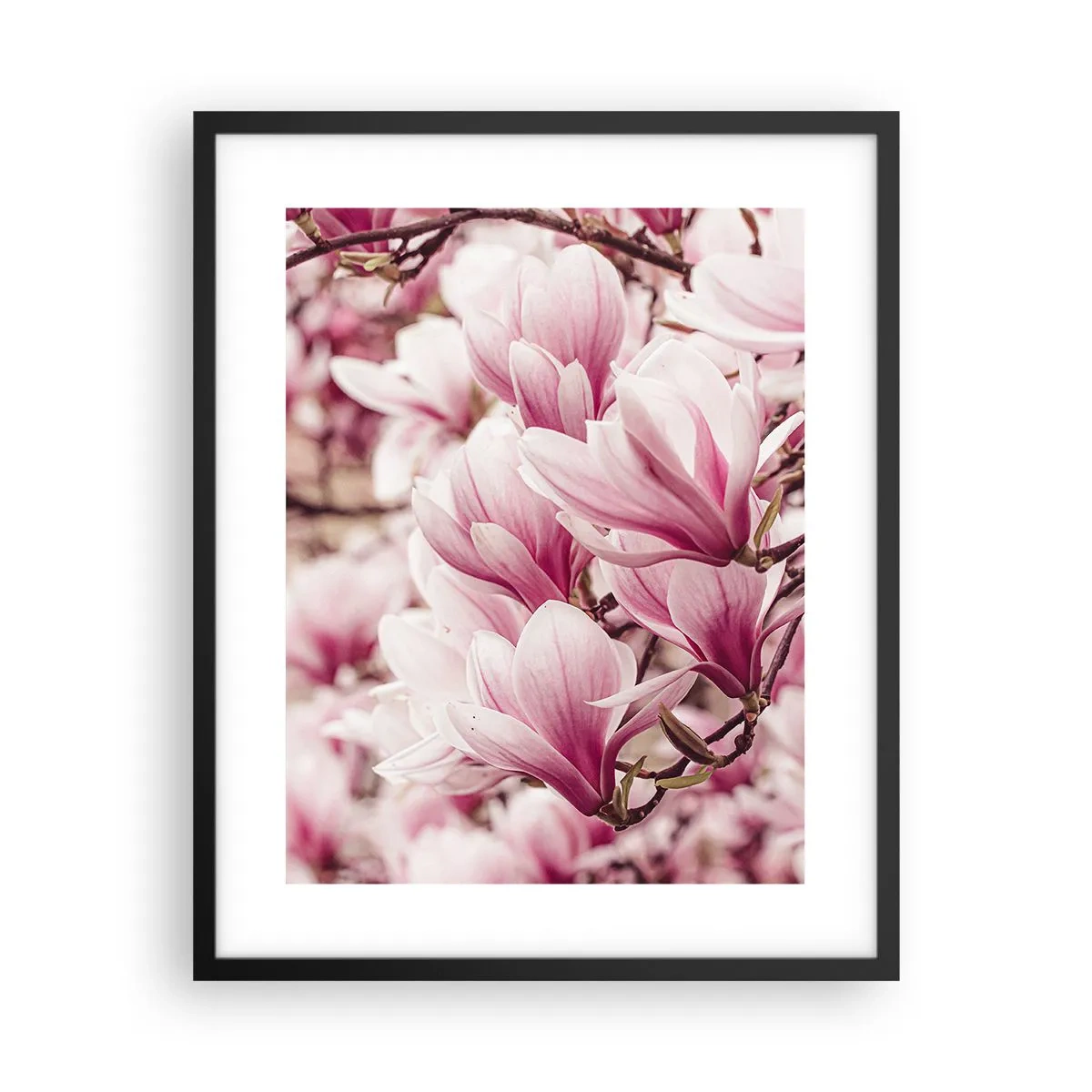 Poster in einem schwarzem Rahmen - Frühling ist rosa - 40x50 cm