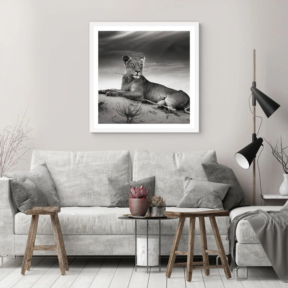 Poster in einem weißen Rahmen - Die Königin der Wüstenruhe - 60x60 cm