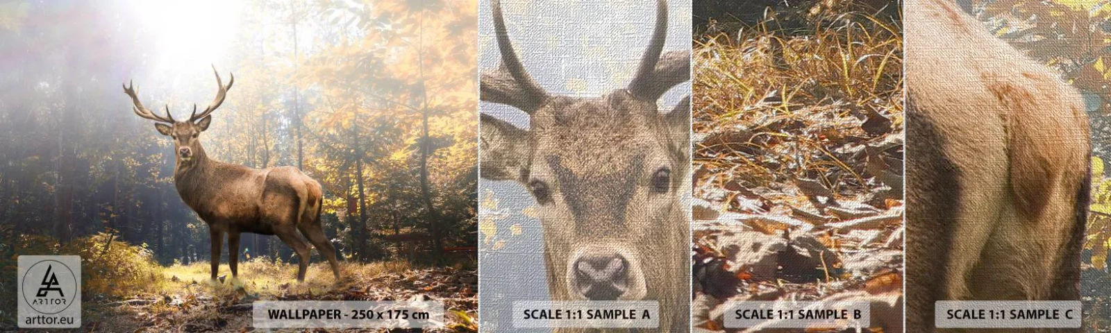 Fototapeten Muster Premium Canvas - In voller Majestät - Landschaft, Reh, Wald - 100x30 cm