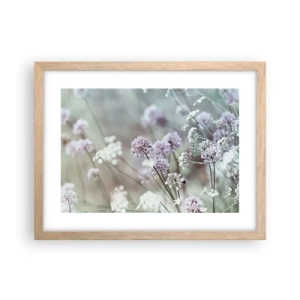 Poster in einem Rahmen aus heller Eiche - Süße filigrane Kräuter - 40x30 cm