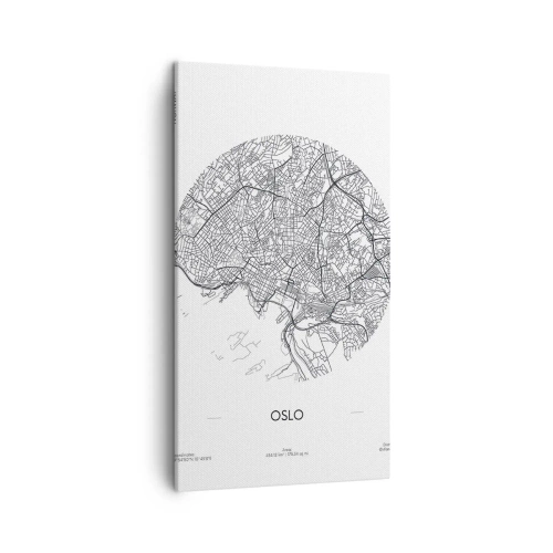 Bild auf Leinwand - Leinwandbild - Anatomie von Oslo - 45x80 cm