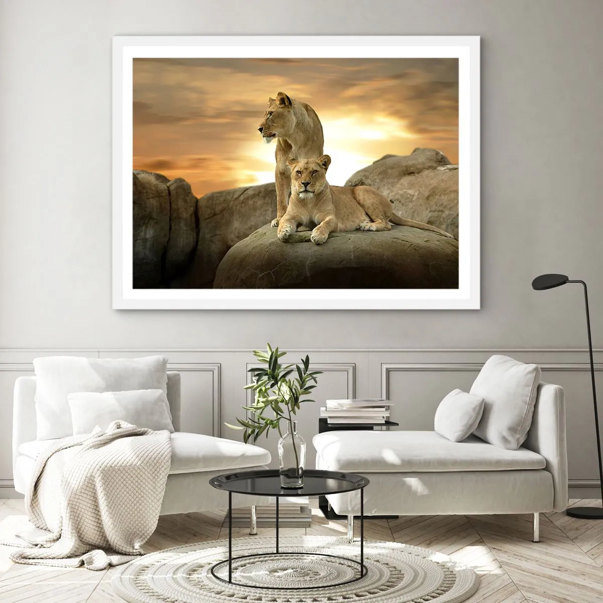 Poster in einem weißen Rahmen - Königliche Majestät - 100x70 cm