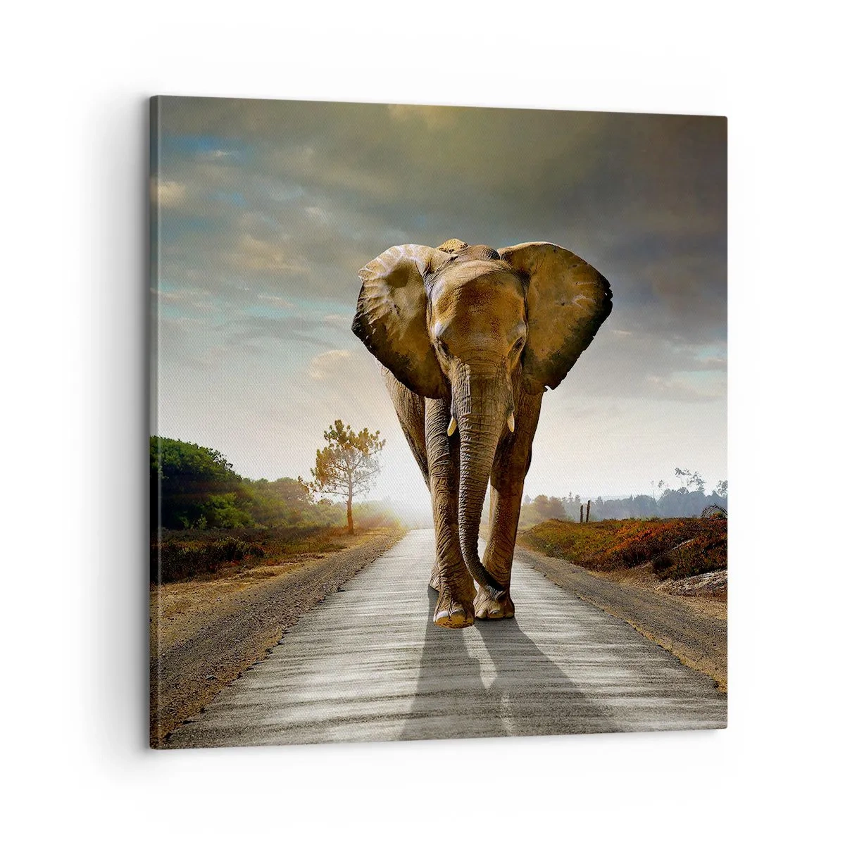 Bild auf Leinwand - Leinwandbild - Und schon gar nicht in einem Porzellanlager - 60x60 cm