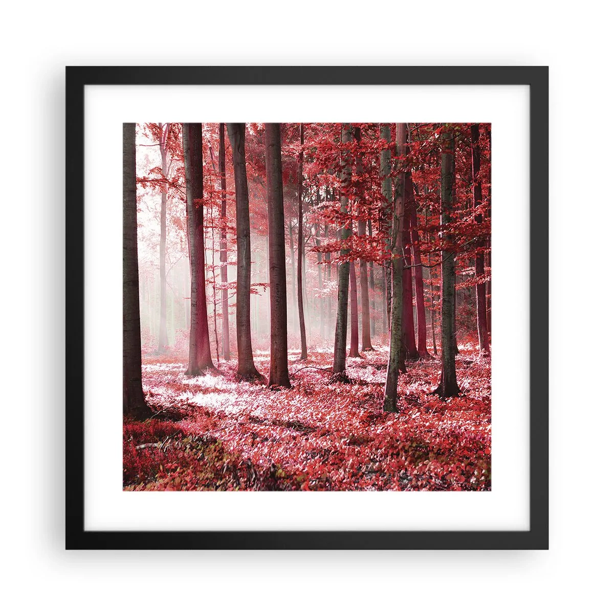 Poster in einem schwarzem Rahmen - Rot ist genauso schön - 40x40 cm