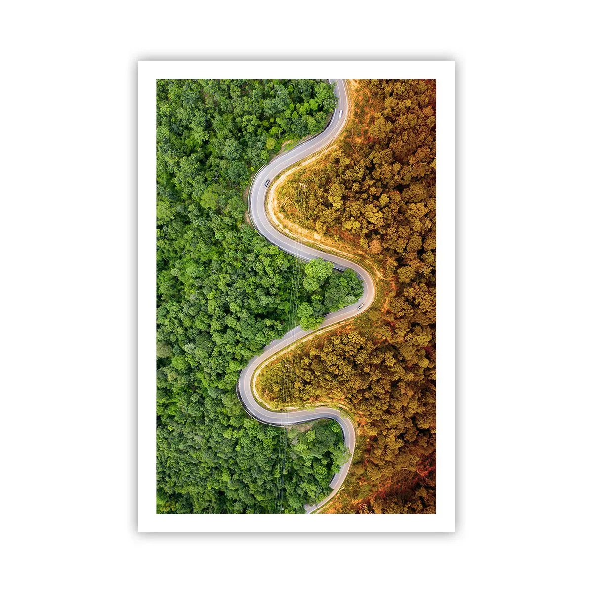 Poster - Grenzen und Durchbrüche - 61x91 cm