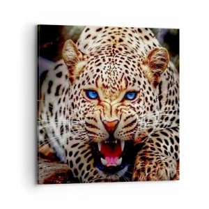 Bild auf Leinwand - Leinwandbild - Schönheitswut tut nicht weh - 70x70 cm