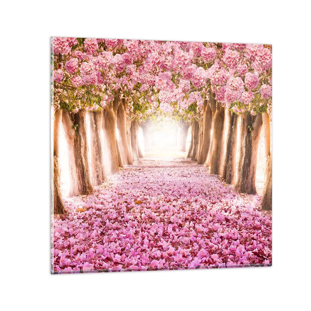 Glasbild - Bild auf glas - Der Weg ins Paradies - 70x70 cm