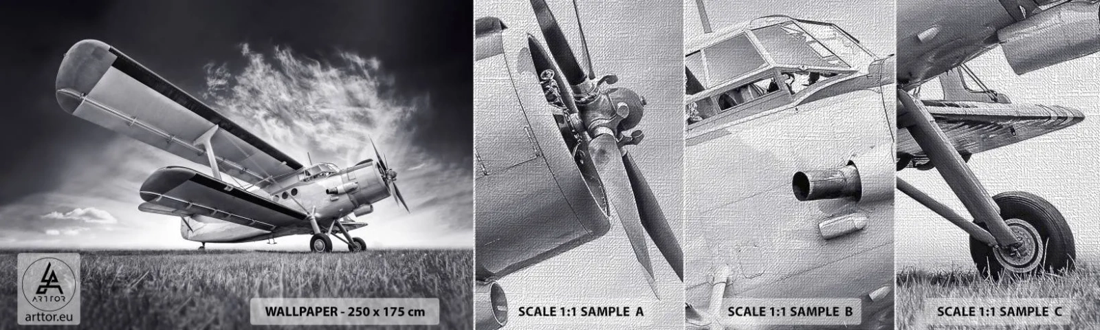 Fototapeten Muster Premium Canvas - Der geflügelte Wanderer - Flugzeug, Flugzeug, Schwarz und weiß - 100x30 cm