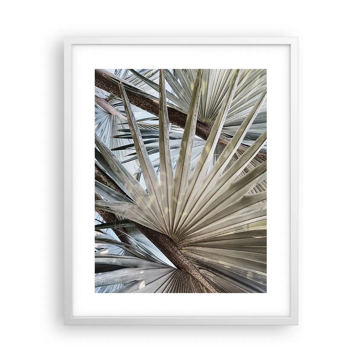 Poster in einem weißen Rahmen - Fans in den Tropen - 40x50 cm